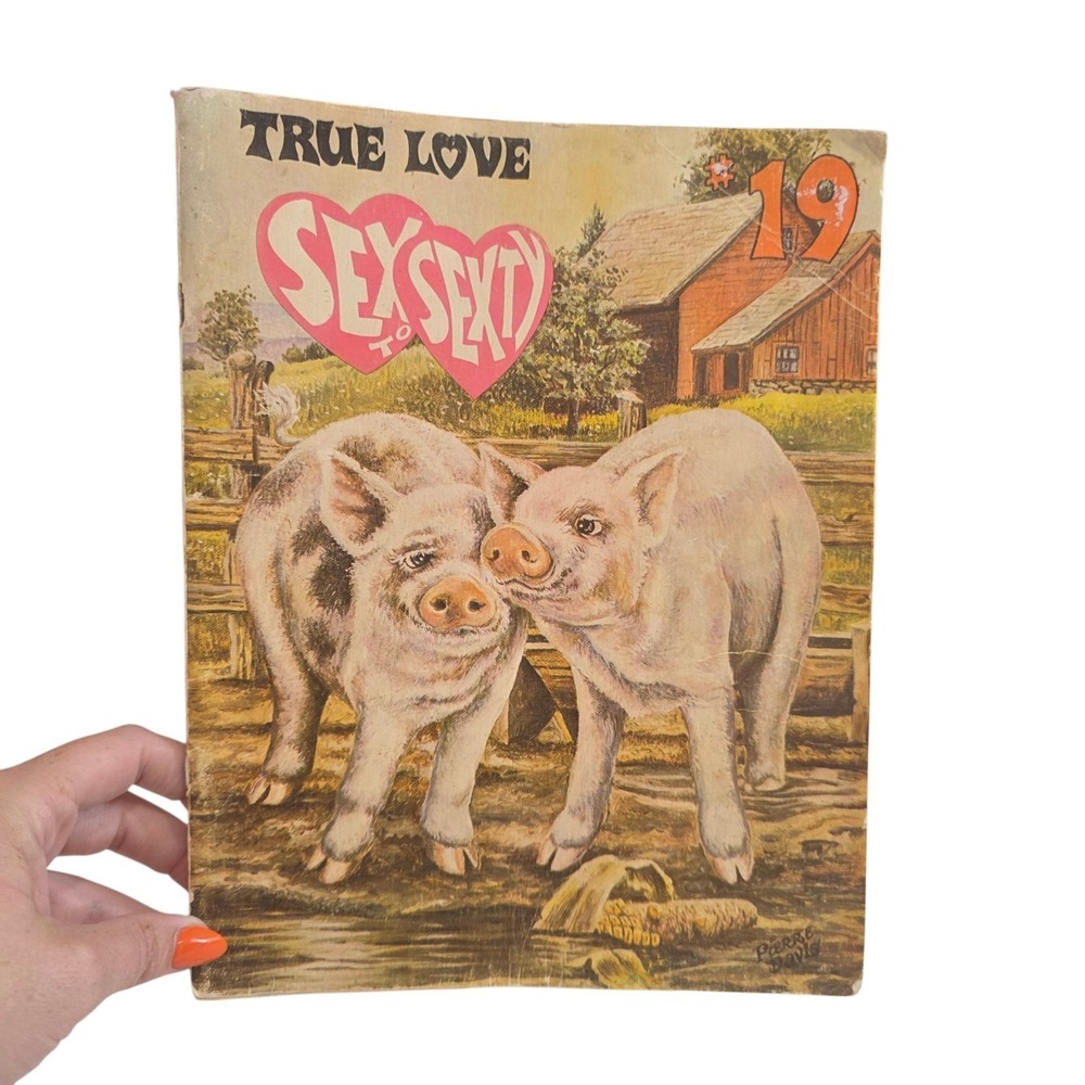 1970 Sex To Sexty #19 True Love Adult Humor Comic Magazine SRI Vintage USA